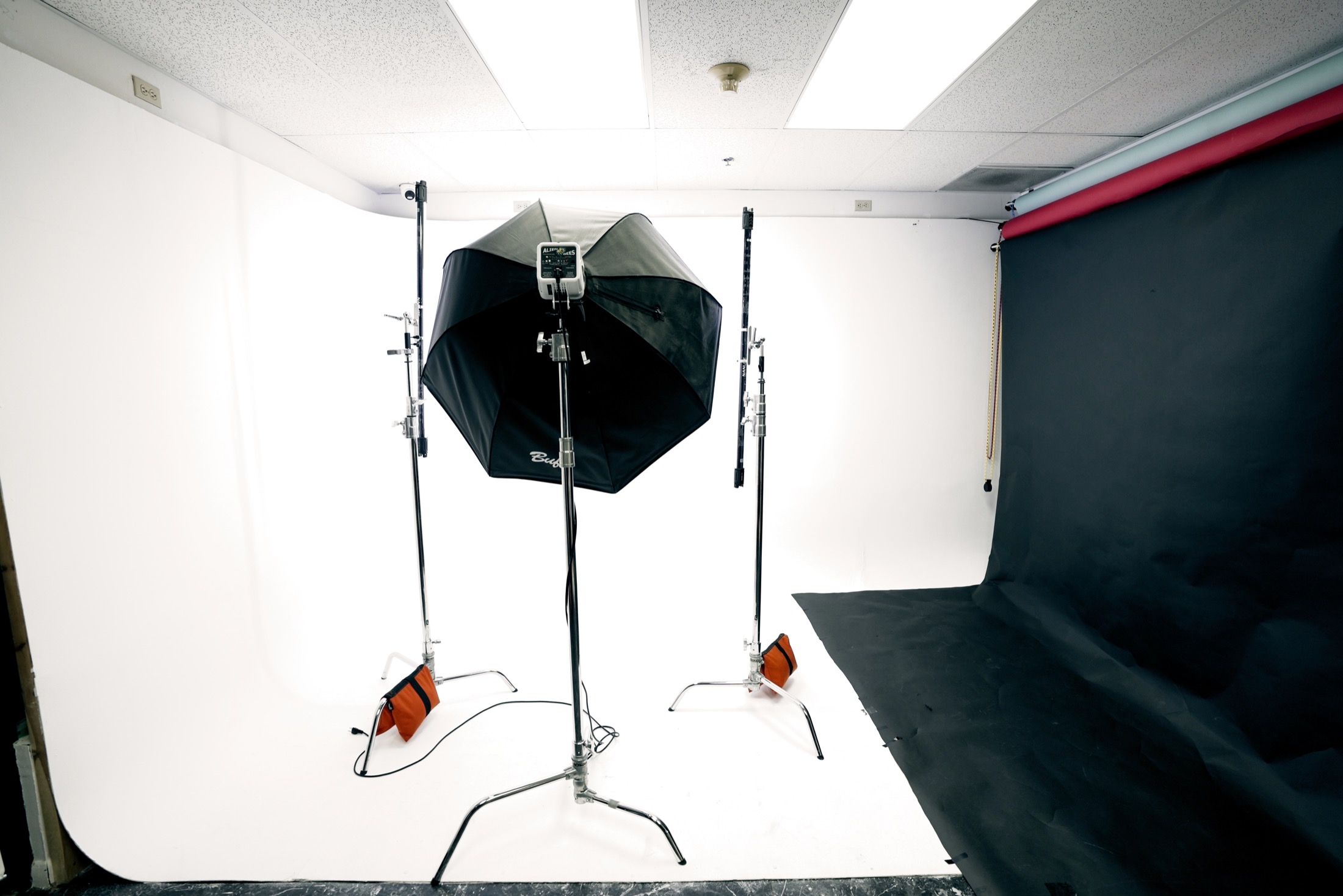 Photography backdrops and studio lights at All In Studios